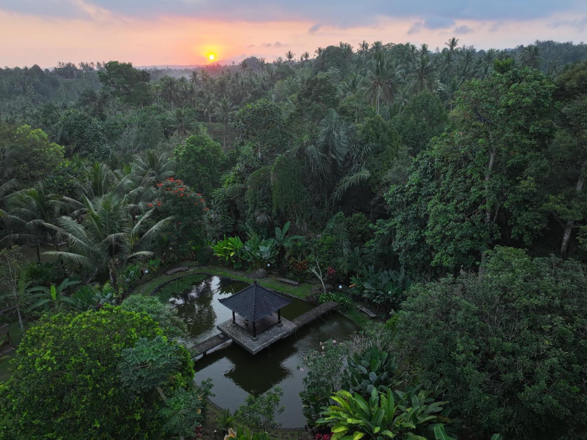 Bali Palms Apartment Tabanan  Ngoại thất bức ảnh